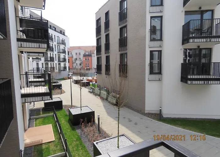 El - Pollux 포즈난